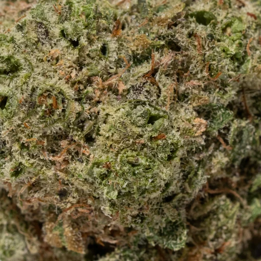 Sage & Sour (AA+)
