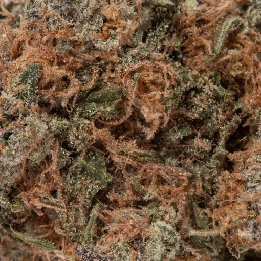 Triangle Kush (AAA+)