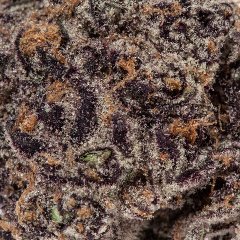 Buy Purple Gelato (aaaaa Craft) - Weed Delivery Vancouver