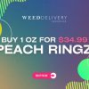 WDV Peach Ringz Mobile