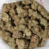 Sundae Driver (AAA)