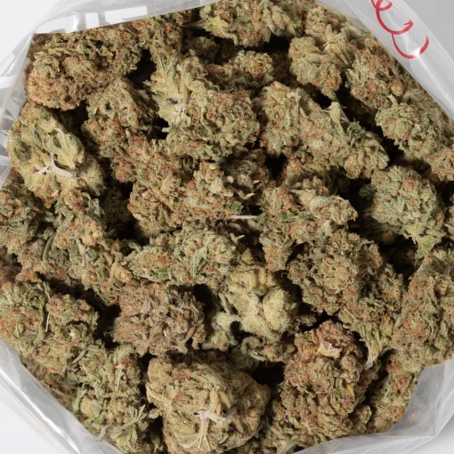 Sundae Driver (AAA)