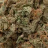Sundae Driver (AAA)