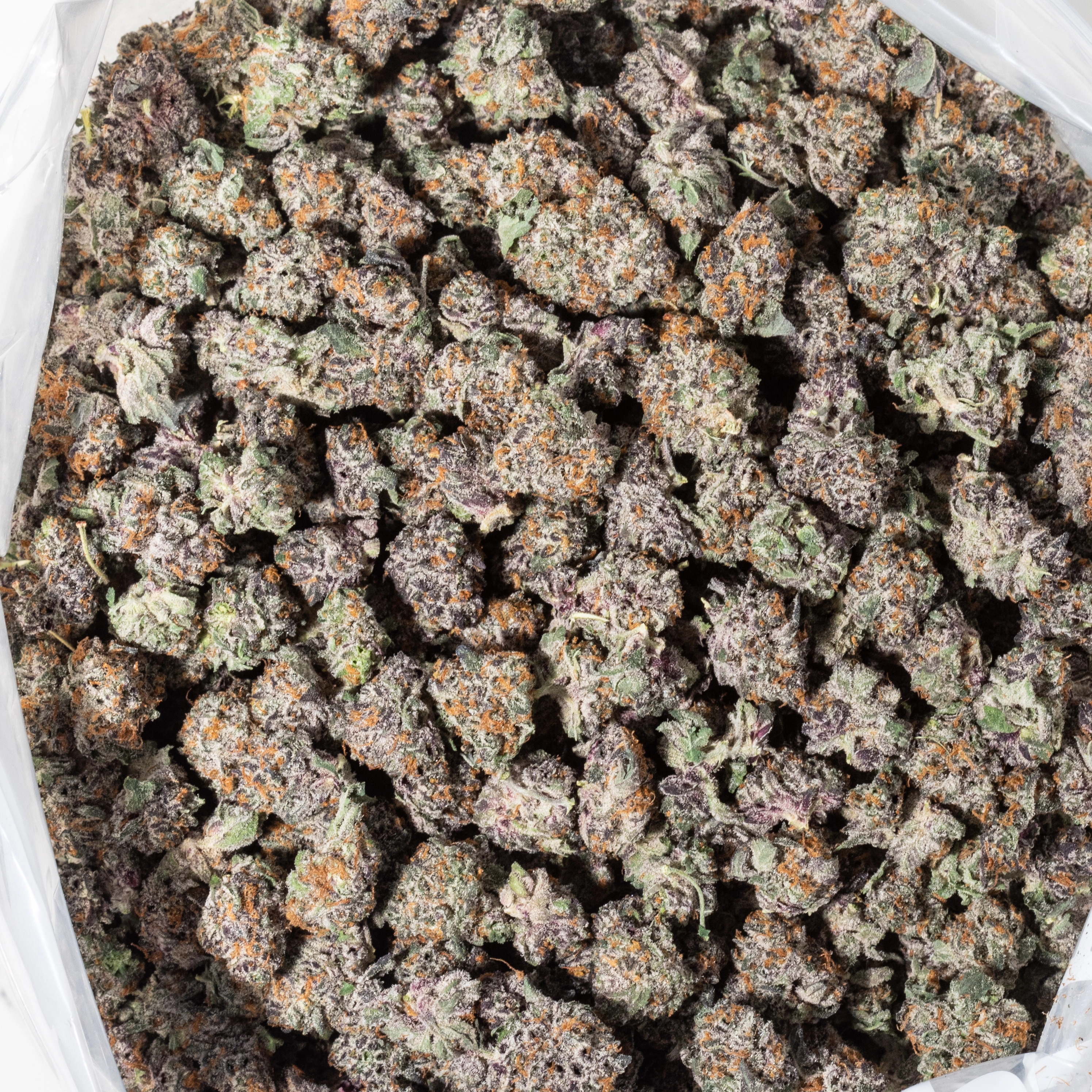 Blackberry Cream (AAAA Popcorn)