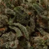 MK Ultra (AAAA/Popcorn)