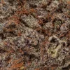 Grapefruit (AAAA+)