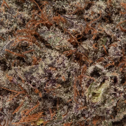 Grapefruit (AAAA+)