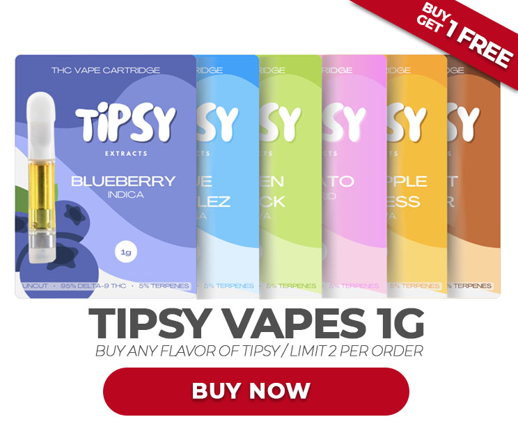 Buy 1 Take 1 Promo on Tipsy Vapes