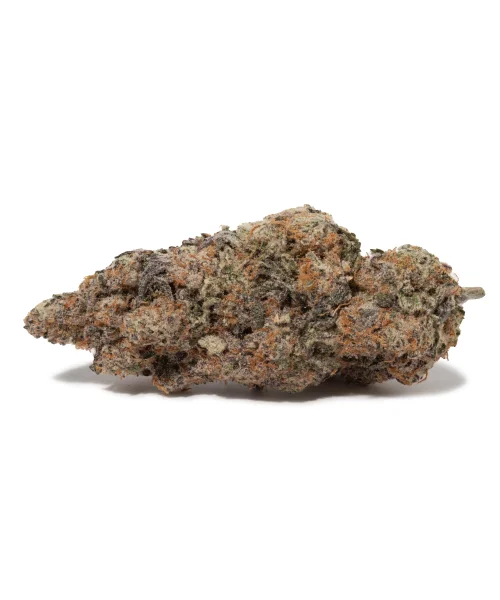 Jelly Donut (AAAAA/Craft)