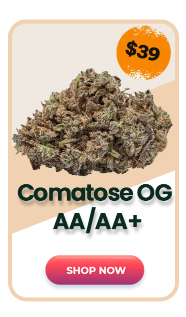 Comotose OG (AA/AA+) - $39