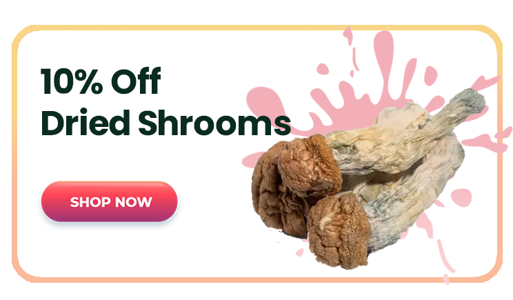 All Dried Shrooms Products - 10%