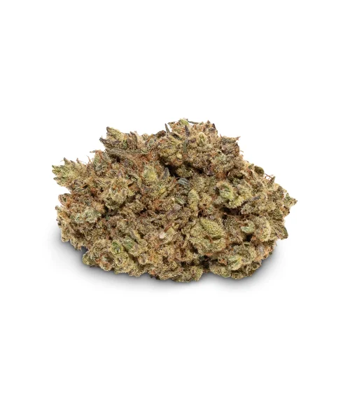 Purple Punch (AA)