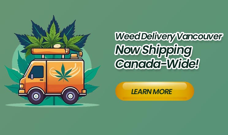 Now Shipping Canada-Wide!