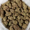 Goudaberry (AAAA+)
