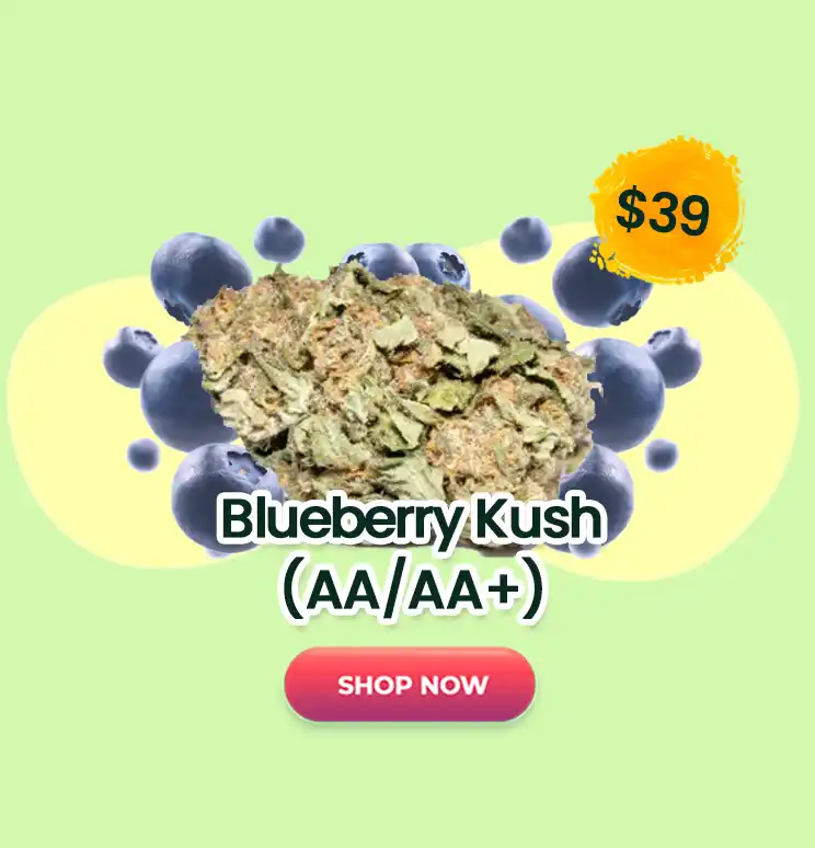 Blueberry Kush - $39