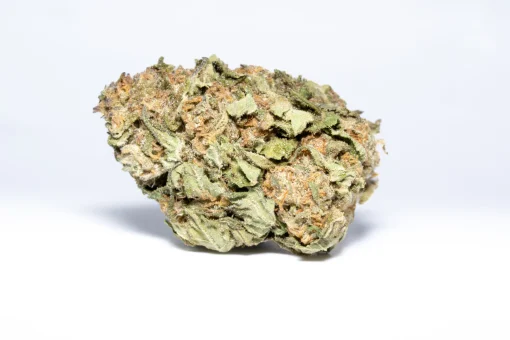 Blueberry Kush (AA/AA+)