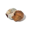 Psilocybe - Semilanceata