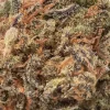 Pink Sunset (AA/AA+)