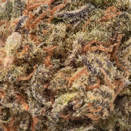 Pink Sunset (AA/AA+)