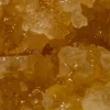 House Caviar — Georgia Pie (Hybird)