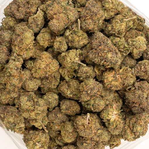 Nebula (AA)