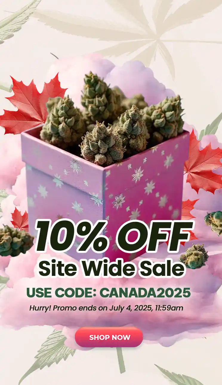 10% Site Wide Sale!