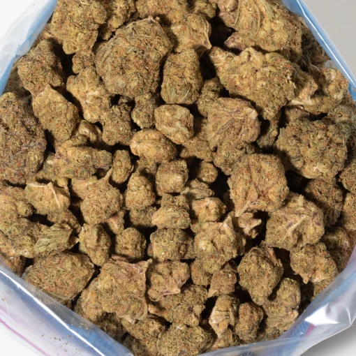 Purple Pancake (AA)