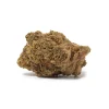 Purple Pancake (AA)