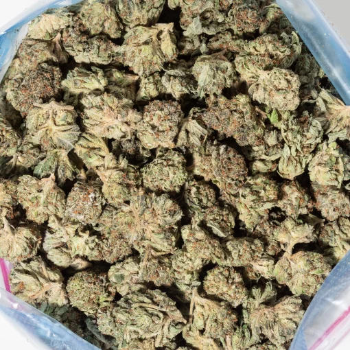 El Padrino (AA)