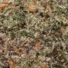 Khalifa Cookies (AAAA+/Popcorn)