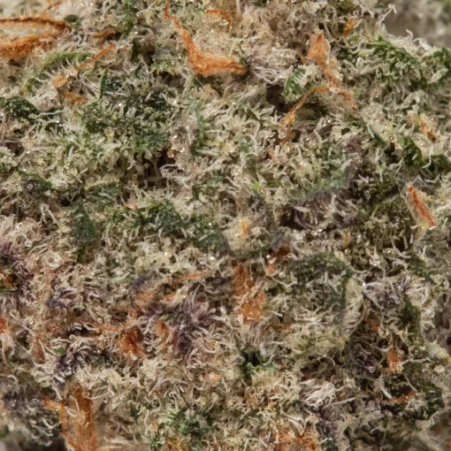 Khalifa Cookies (AAAA+/Popcorn)