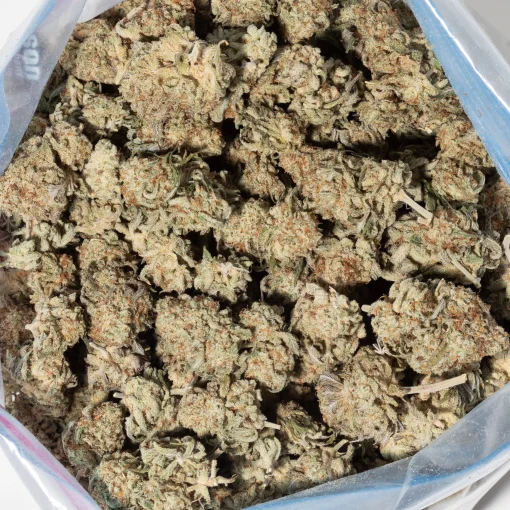 Frozen Grapes (AA)