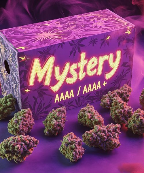 AAAA/AAAA+ Mystery OZ