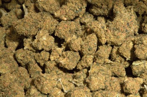 Sour Diesel (AA/AA+)