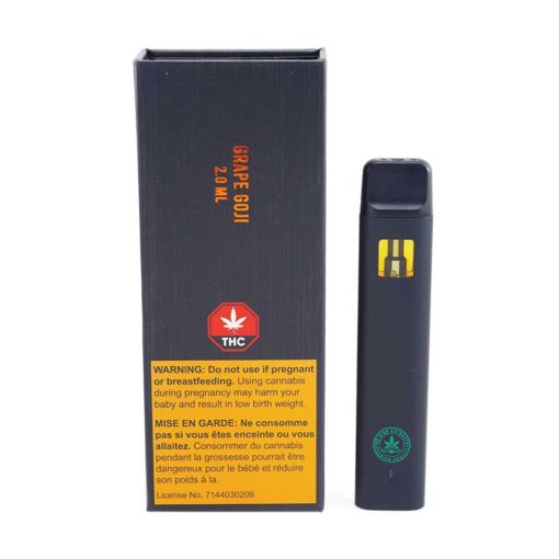 So High Extracts - 2g Disposable THC Vape Pen - Image 3