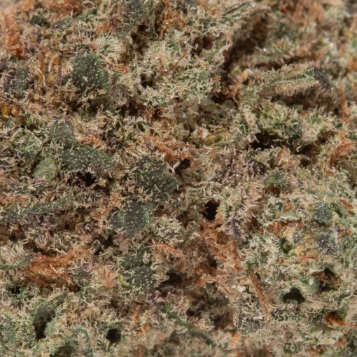 Peanut Butter Breath (AAAA)