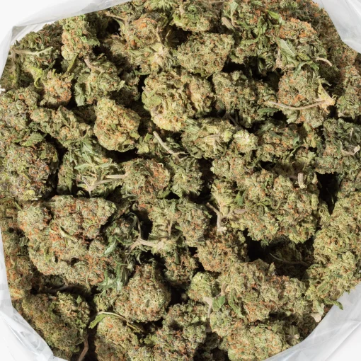 Lemon Berry (AAA)
