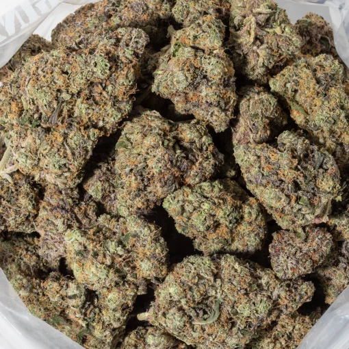 Gelato 42 (AAAAA/Craft)