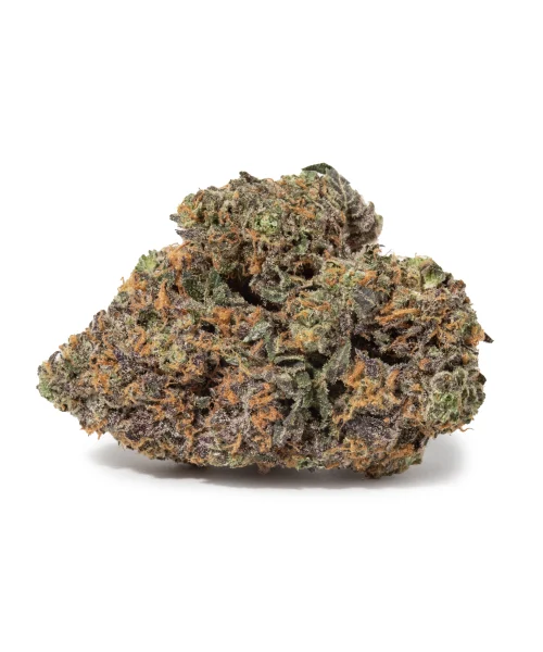Gelato 42 (AAAAA/Craft)