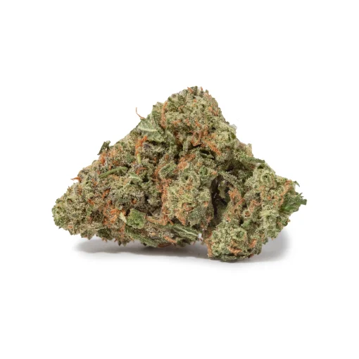 Harlequin (AAA+)