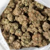 Jet Fuel Gelato (AAA)