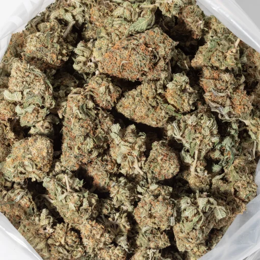 Kings Kush (AA)