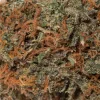 Kings Kush (AA)