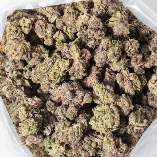 Motor Breath (AAAA/Popcorn)