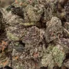 Motor Breath (AAAA/Popcorn)