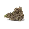 Motor Breath (AAAA/Popcorn)