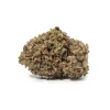 Chocolope (AA)