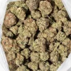 Platinum Pink (AAAA+)