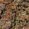 Platinum Pink (AAAA+)