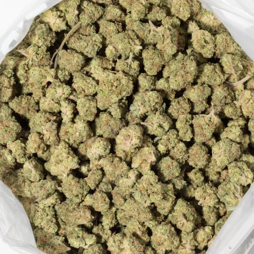 OG Skunk (AA/Popcorn)
